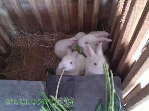WP_000899.jpg