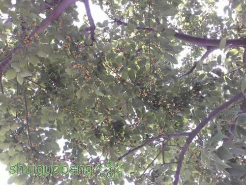 WP_000926.jpg