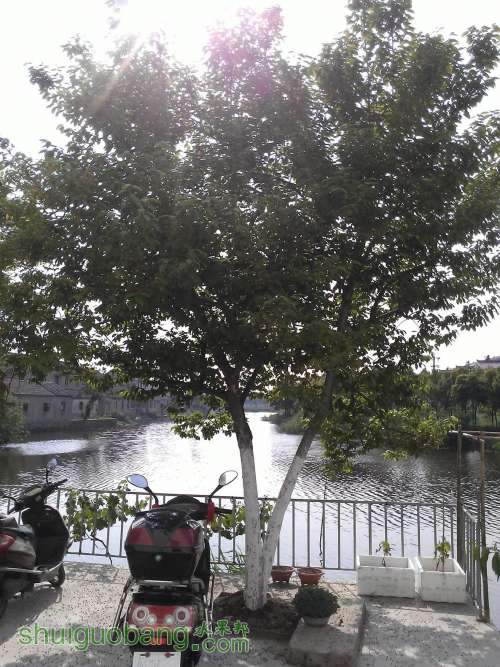 WP_000928.jpg