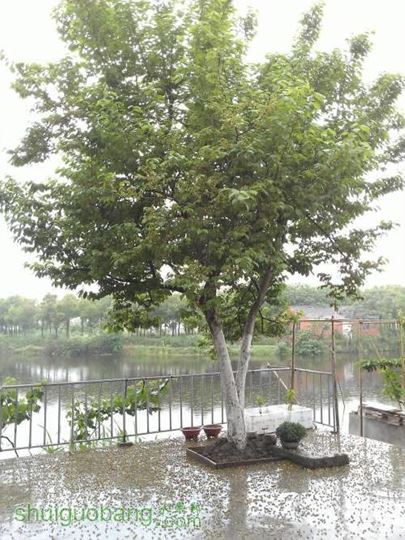 WP_000930.jpg