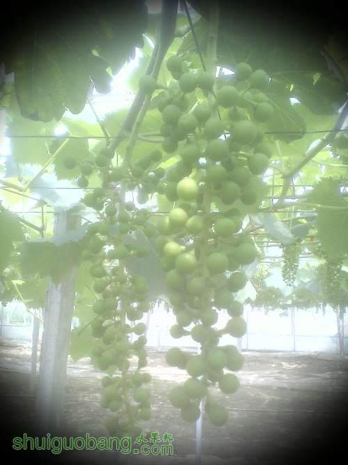 IMG0505135000.jpg