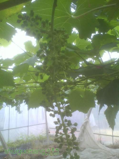 IMG0509170100.jpg