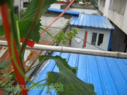 IMG_5223.JPG