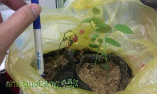 ����IMAG0670.JPG