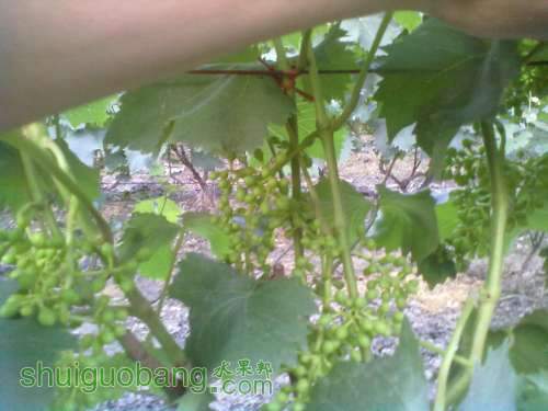 )~_9ZG1BW$7~@[5TR2]60T20.jpg