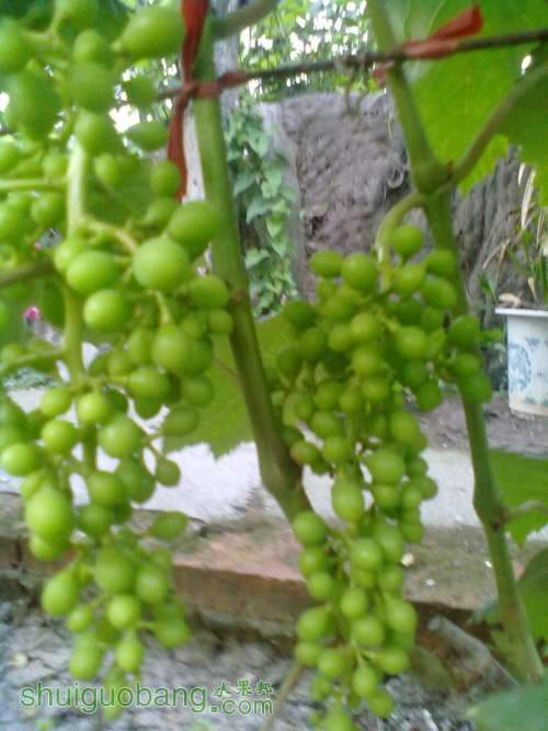 Q_DY)E[2HQUKY45XYT40AUD0.jpg