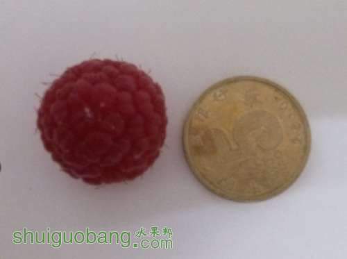 δ2.jpg