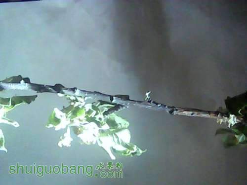 ͼƬ 008.jpg
