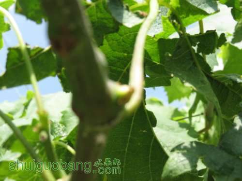 2013������ͼƬ 043_meitu_12.jpg