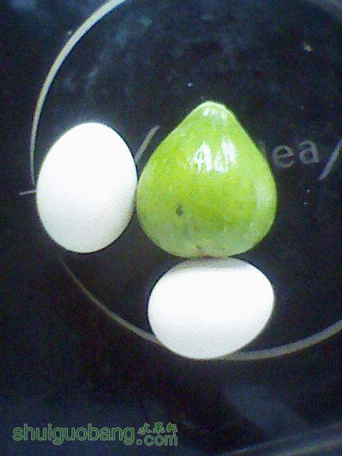 130512001.jpg
