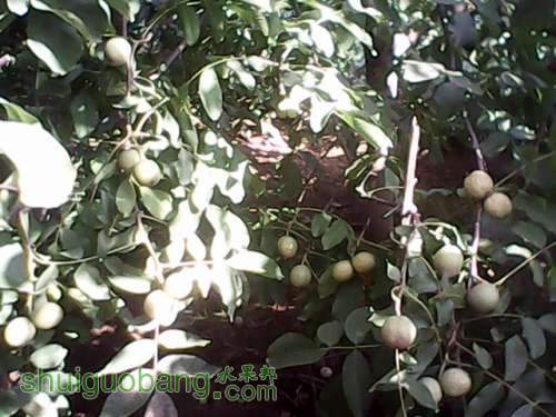 IMG00023.jpg