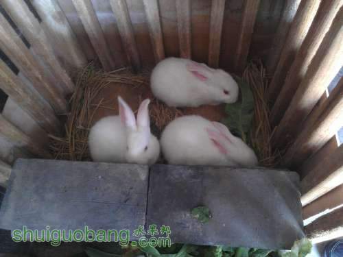 WP_000910.jpg