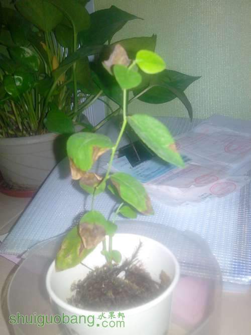 IMG20130514005_����.jpg