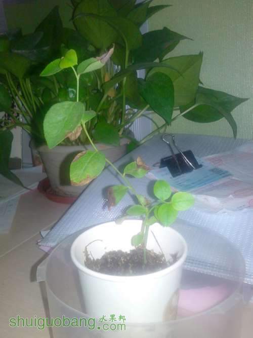 IMG20130514006_����.jpg