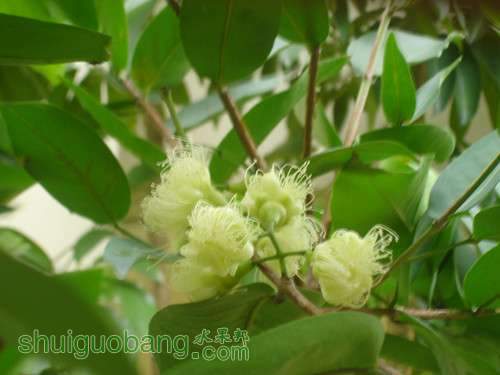 DSC09190_.jpg