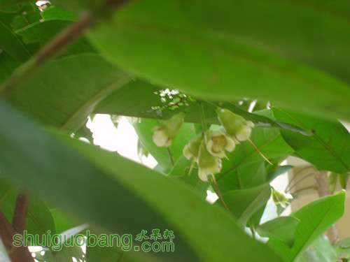 DSC09195_.jpg