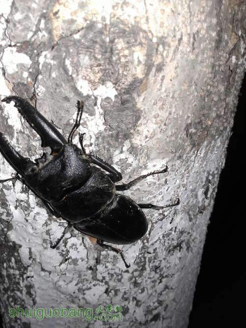 WP_001010.jpg