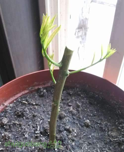 QQͼ20130516155135.jpg