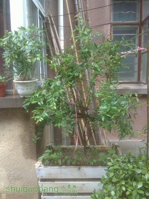 20130516347.JPG