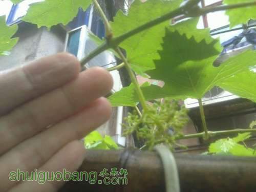 20130516342.JPG