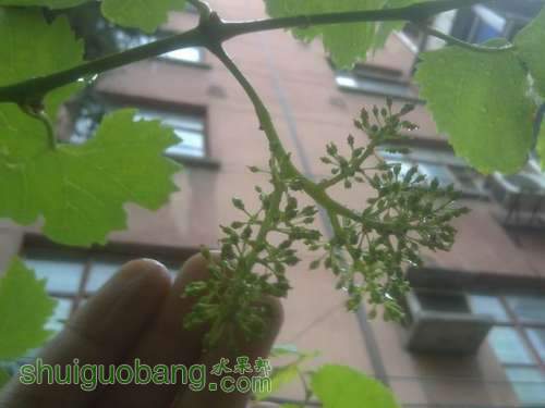 20130516341.JPG