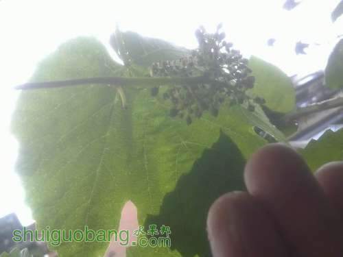 20130516340.JPG
