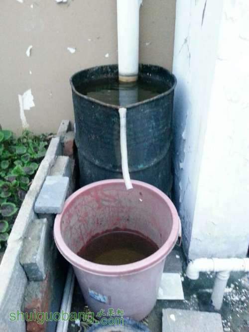 223.jpg