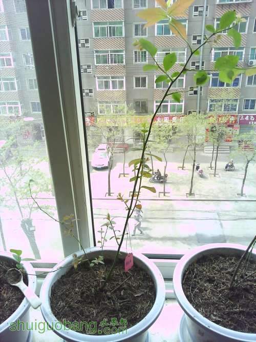 IMG_20130517_093843_0.jpg