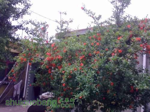 20110521187.jpg