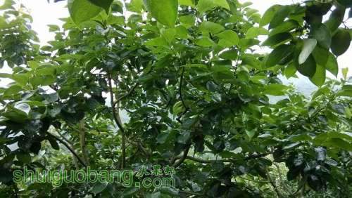 IMG_20130518_173424.jpg