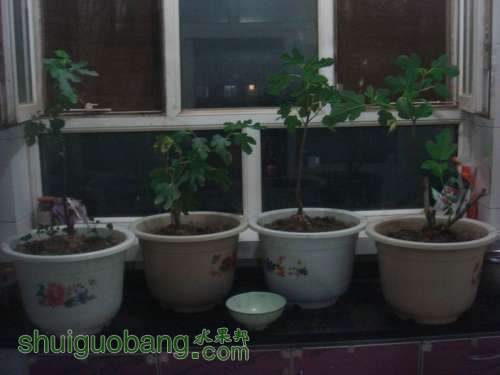 ������С DSC00788.JPG