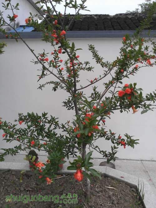 WP_001050.jpg