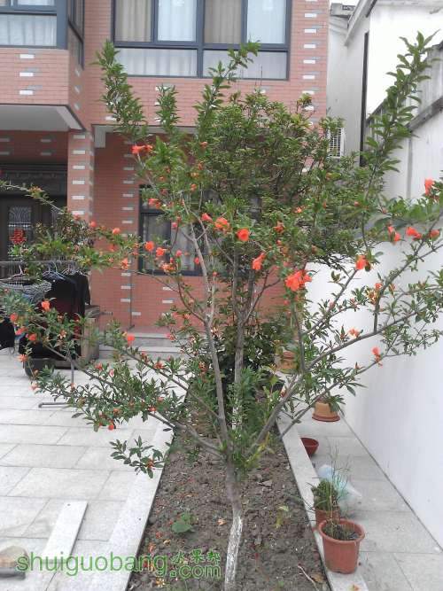 WP_001054.jpg