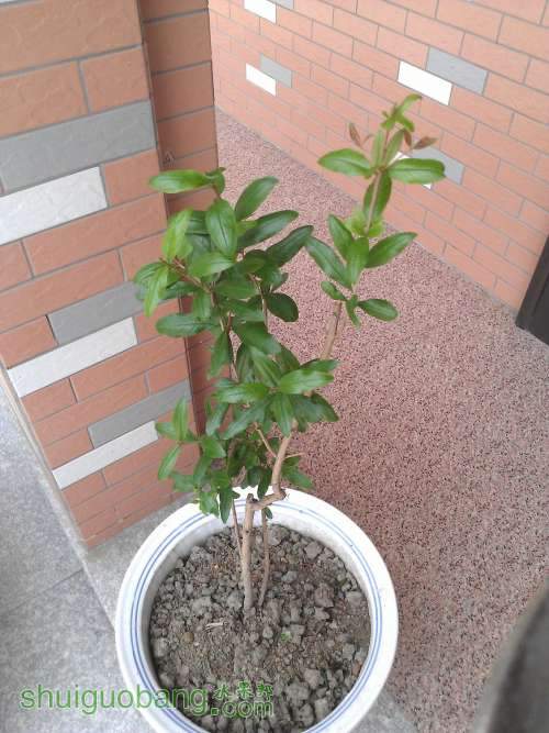 WP_001029.jpg