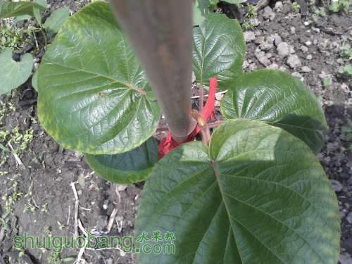 WP_001036.jpg