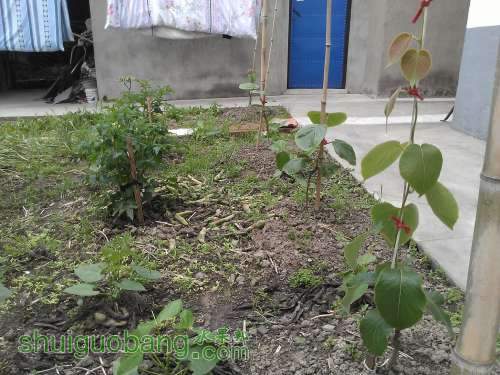 WP_001048.jpg