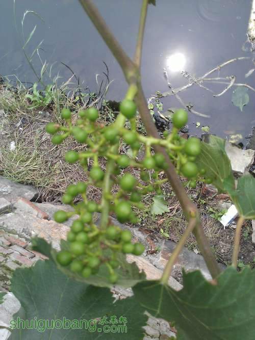 WP_001041.jpg