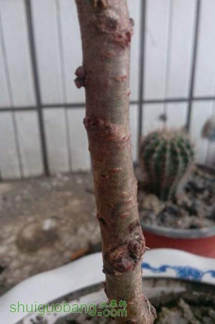 QQͼƬ20130519195407.jpg