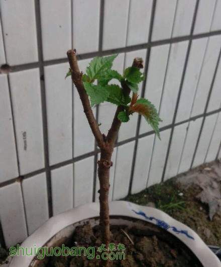 QQͼƬ20130519195419.jpg