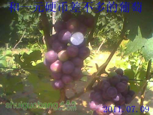 0708_1454_����.jpg