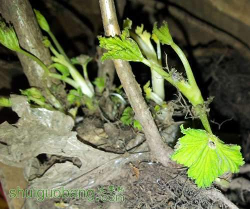 20130521_233323.jpg