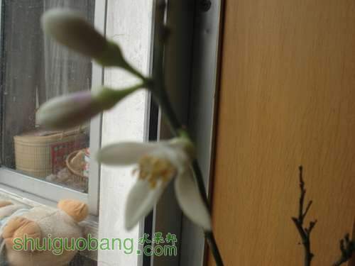 ��Ƭ 065.jpg