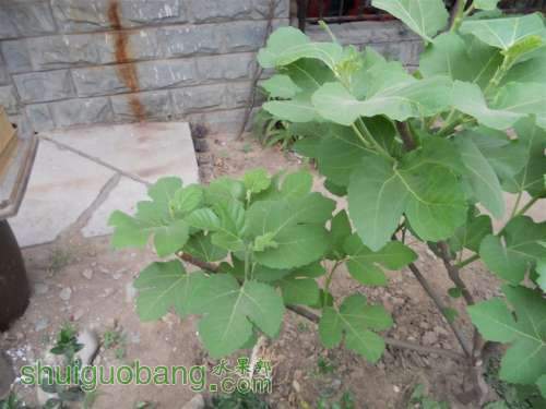 DSCN0184.JPG