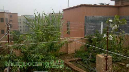 QQͼ20130525170549.jpg