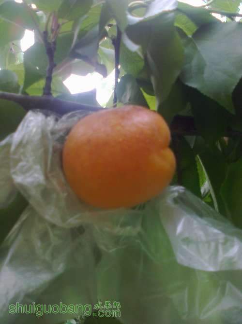 ��Ƭ0173.jpg