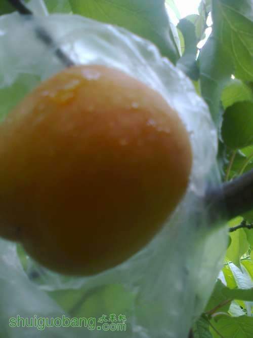 ��Ƭ0175.jpg