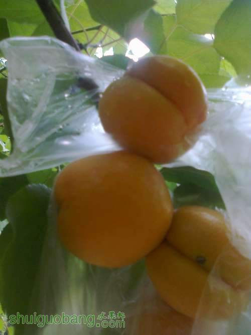 ��Ƭ0176.jpg