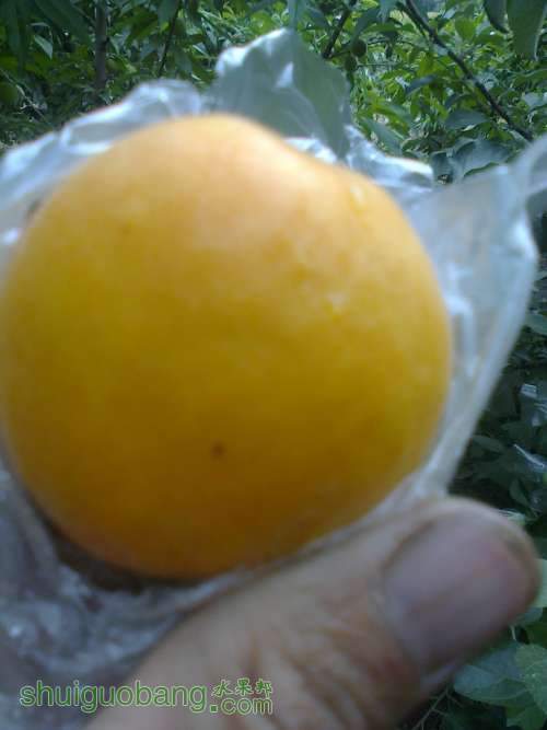 ��Ƭ0178.jpg