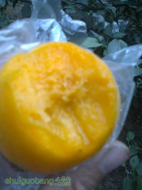 ��Ƭ0179.jpg