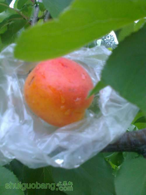��Ƭ0189.jpg